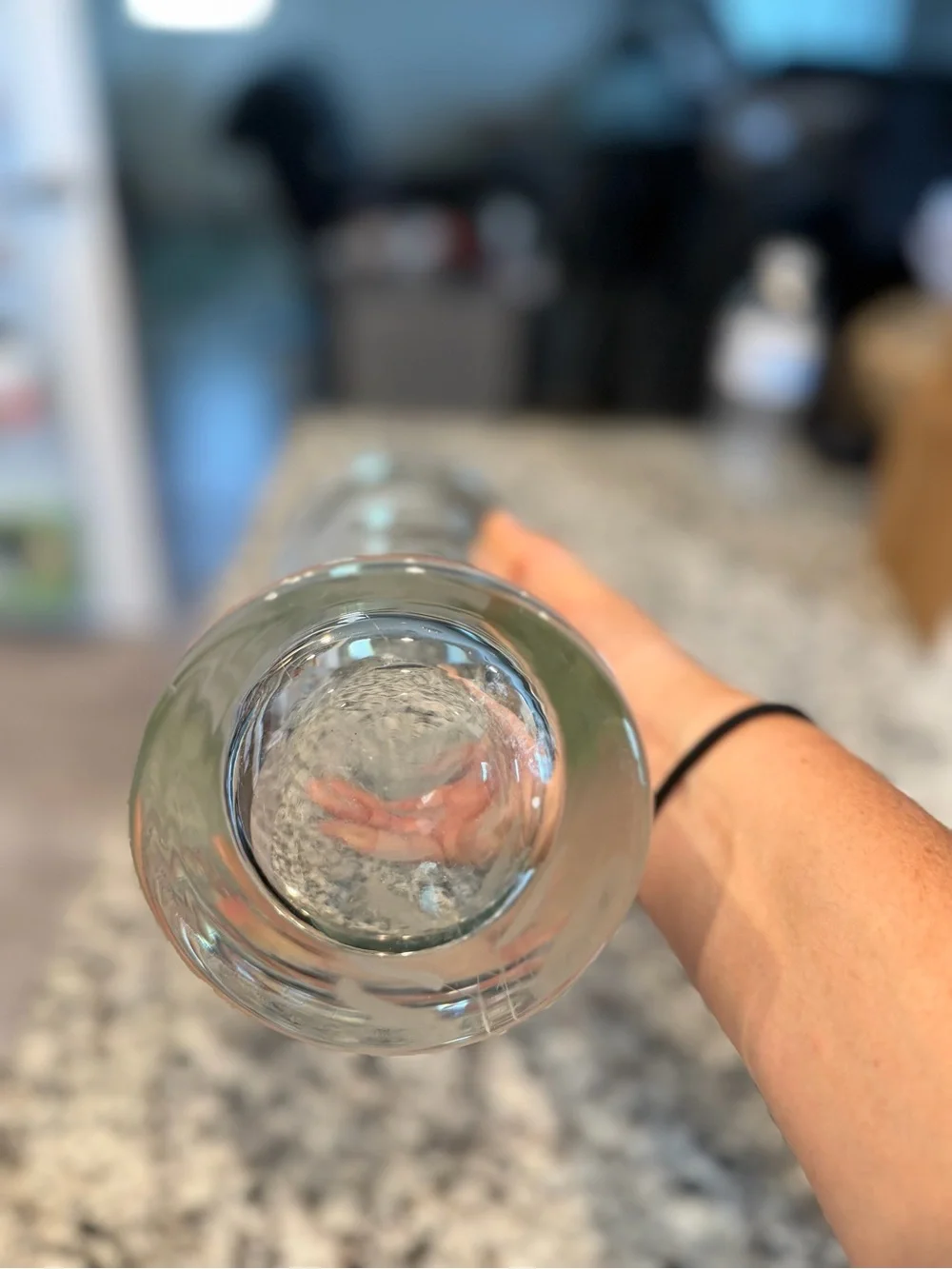 Etched Glass Floral Vase - Clear Tulip Design